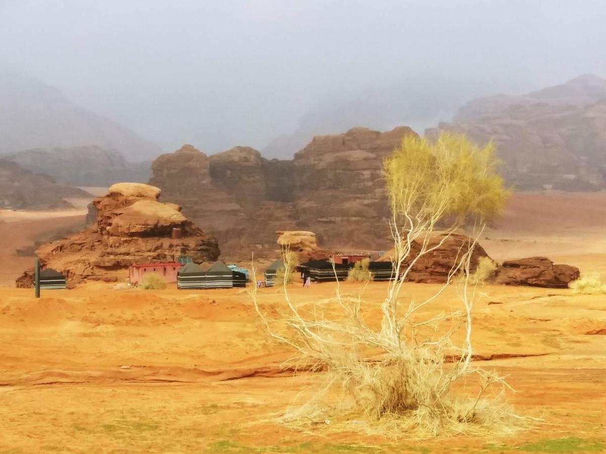 Bedouin Culture Camp Wadi Rum Zewnętrze zdjęcie